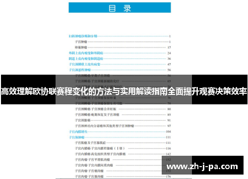 高效理解欧协联赛程变化的方法与实用解读指南全面提升观赛决策效率