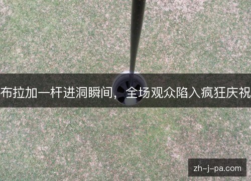 布拉加一杆进洞瞬间,全场观众陷入疯狂庆祝 布拉加一杆进洞瞬间,全场观众陷入疯狂庆祝